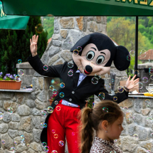 mascota mickey mouse cluj